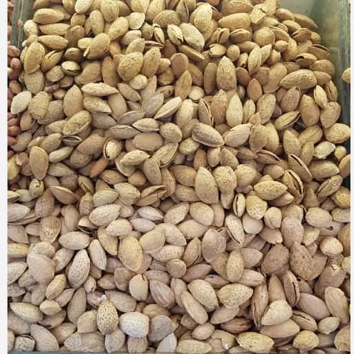 تصویر 3 از قیمت بادام کاغذی امریکایی + خرید عمده